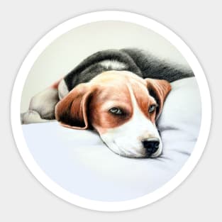 Beagle Pencil Drawing Sticker